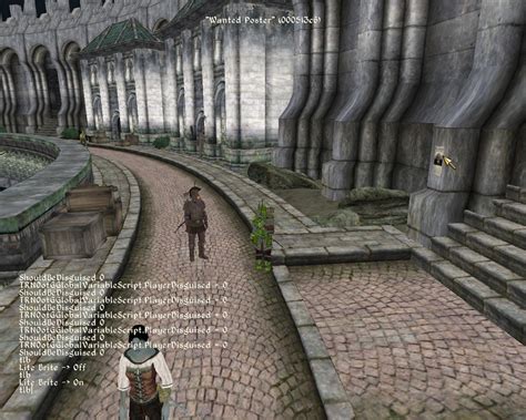 With the player. . Oblivion pc console commands